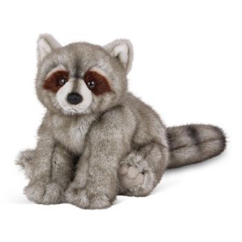 Plush Raccoon in Houston, TX