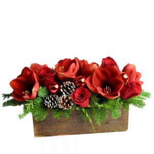 Rustic Amaryllis Centerpiece in Houston, TX